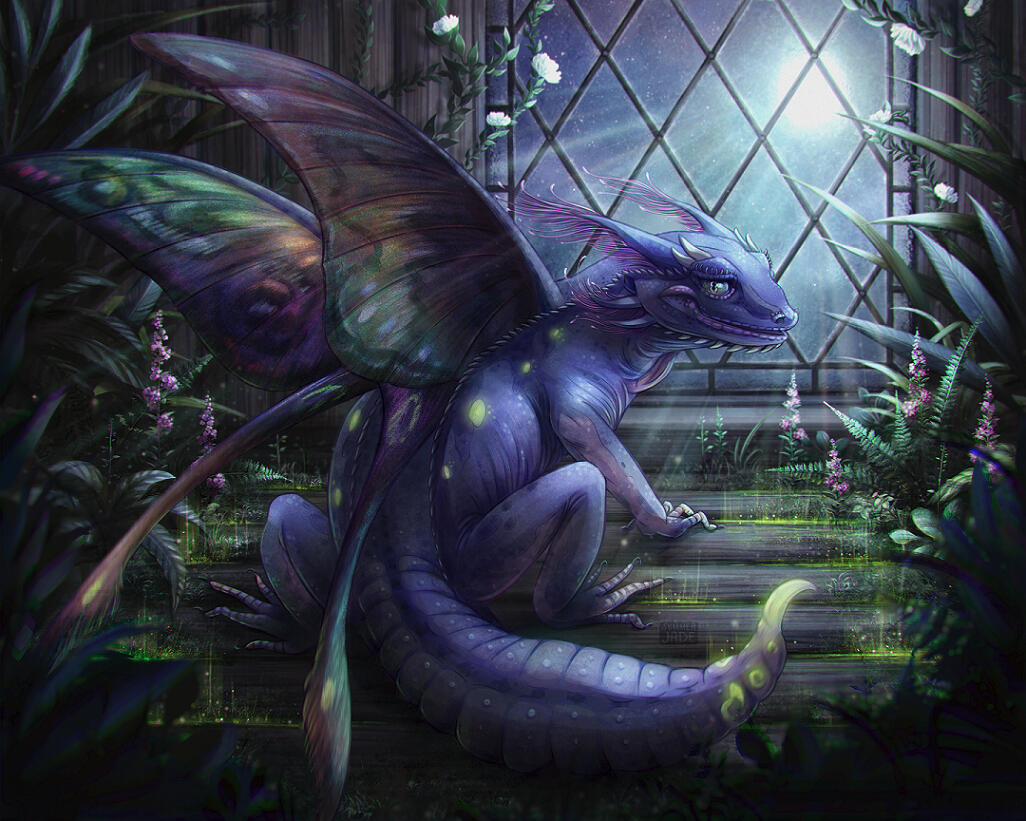 Dungeons and Dragons D&D Elf Drow Warlock